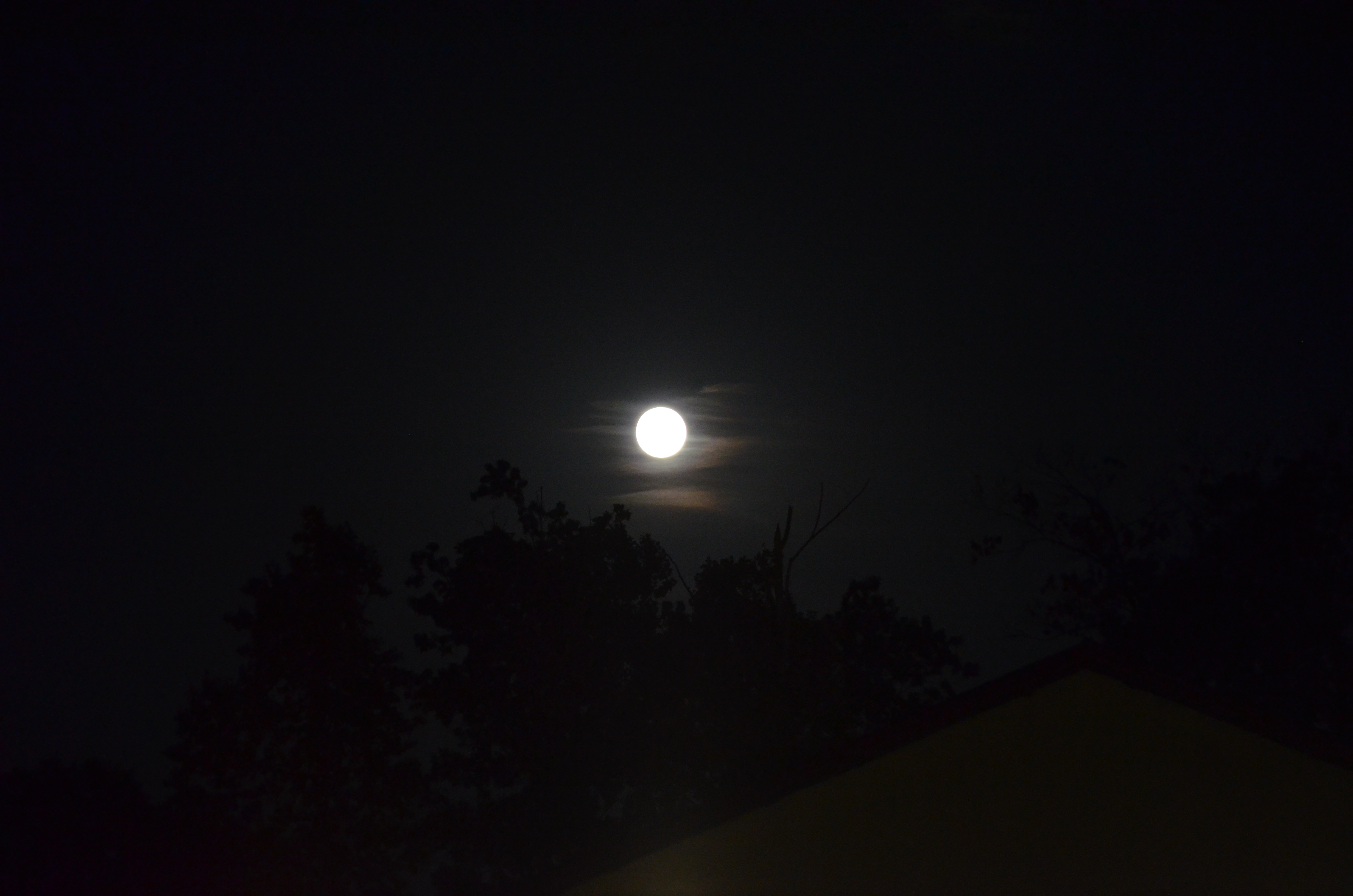 ./2016/18 - Grape Stump/DSC_0669.JPG